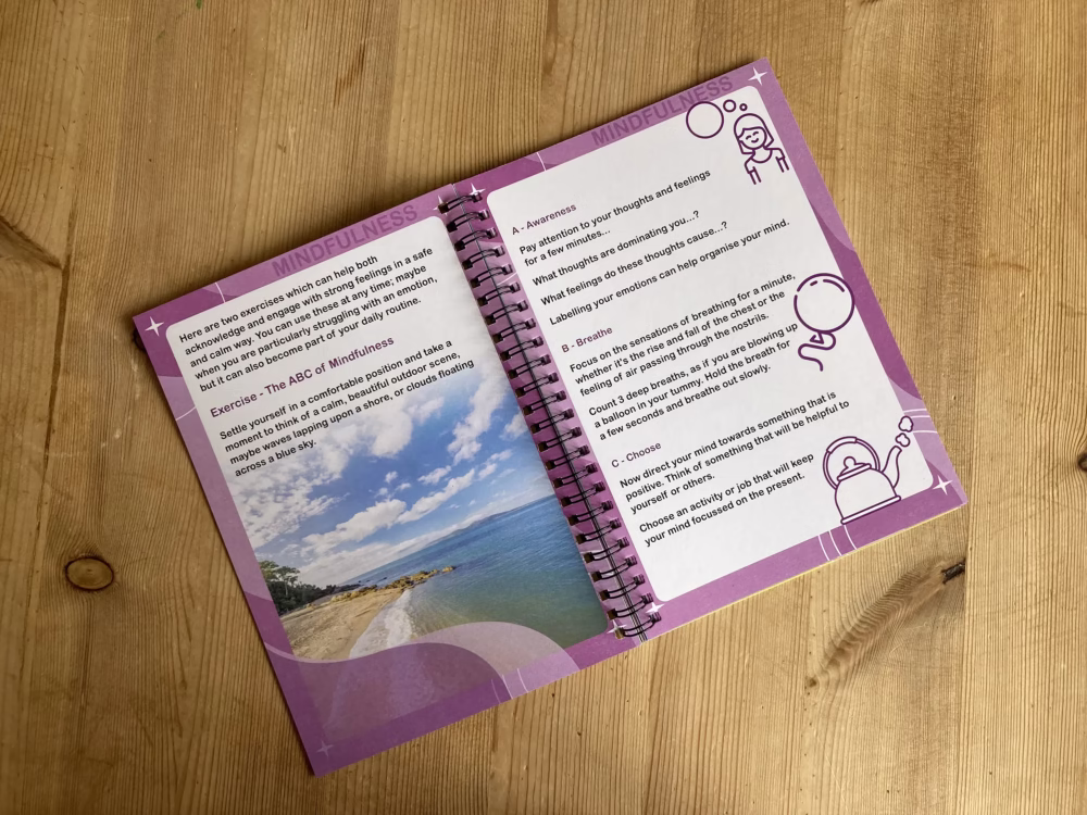 A Guide to Positivity (without Bible notes) - Image 2